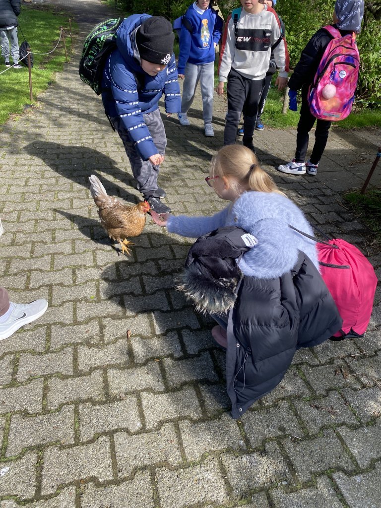 Vorferð 