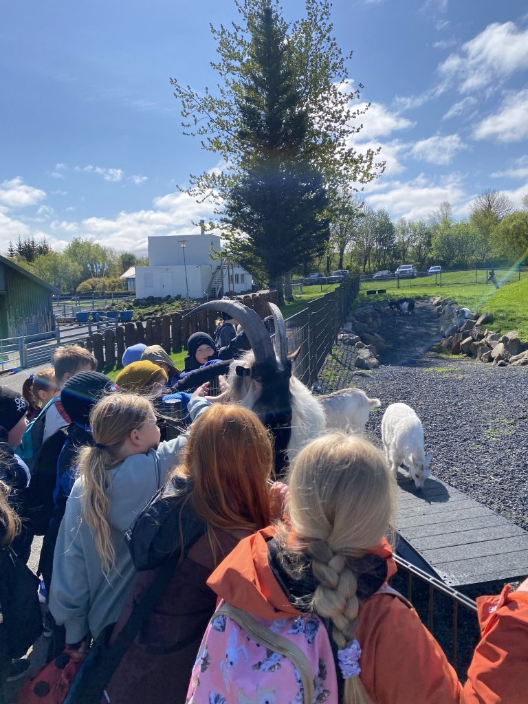 Vorferð 