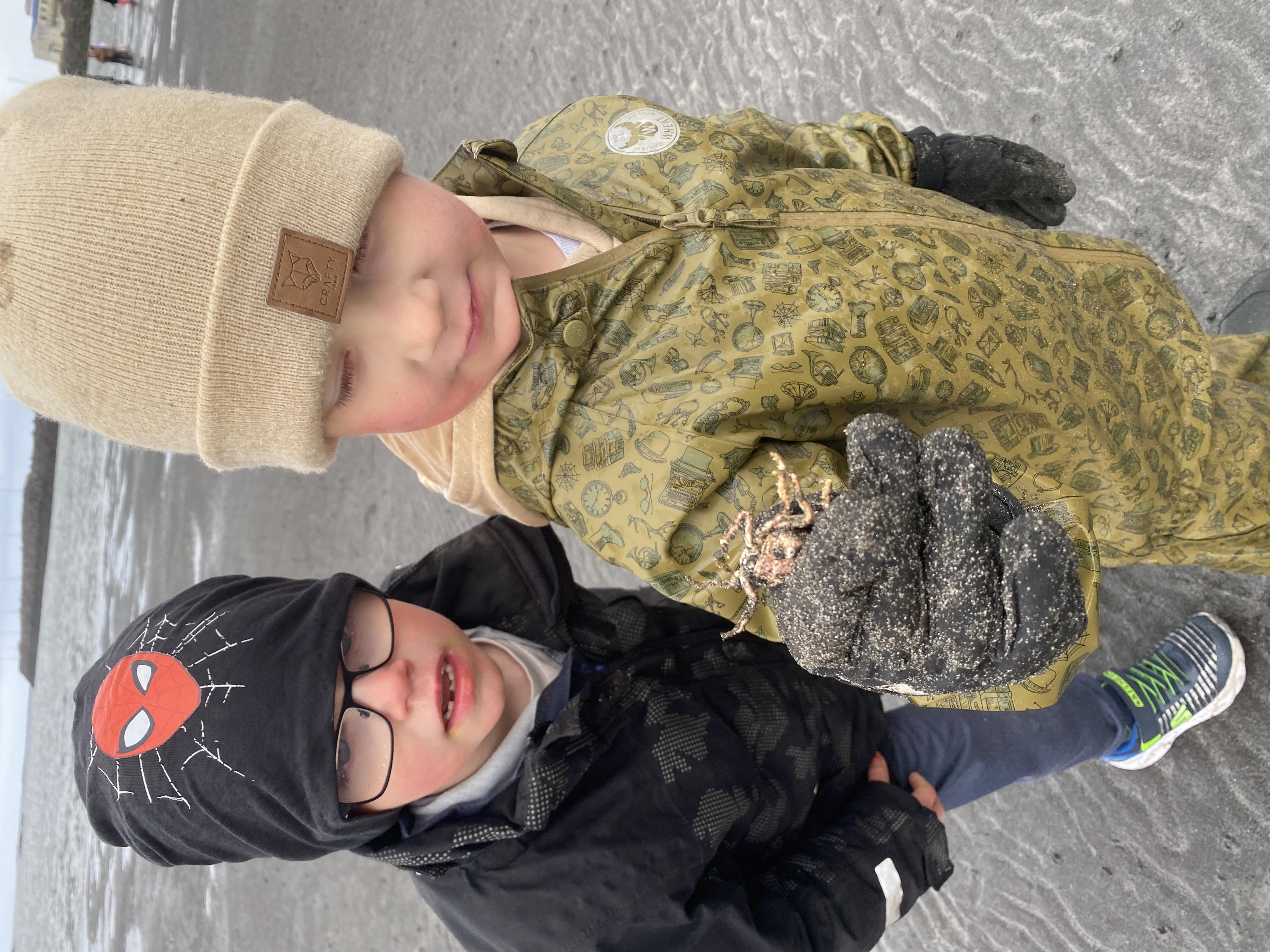 Fjöruferð