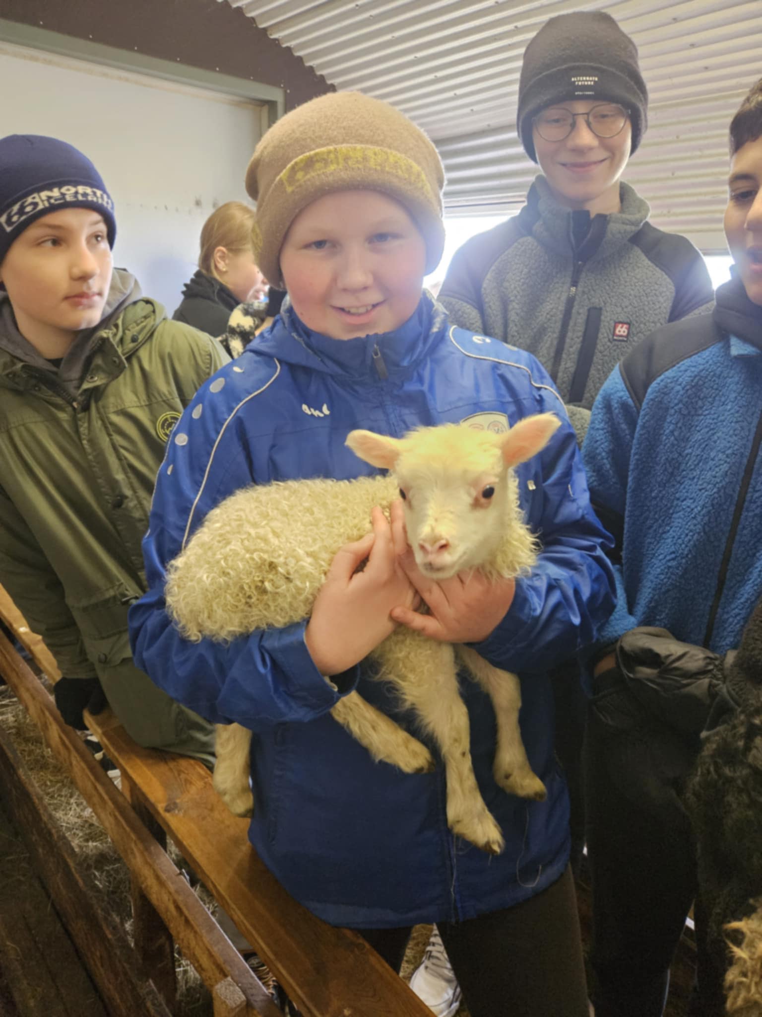 Vettvangsferð í fjárhúsin