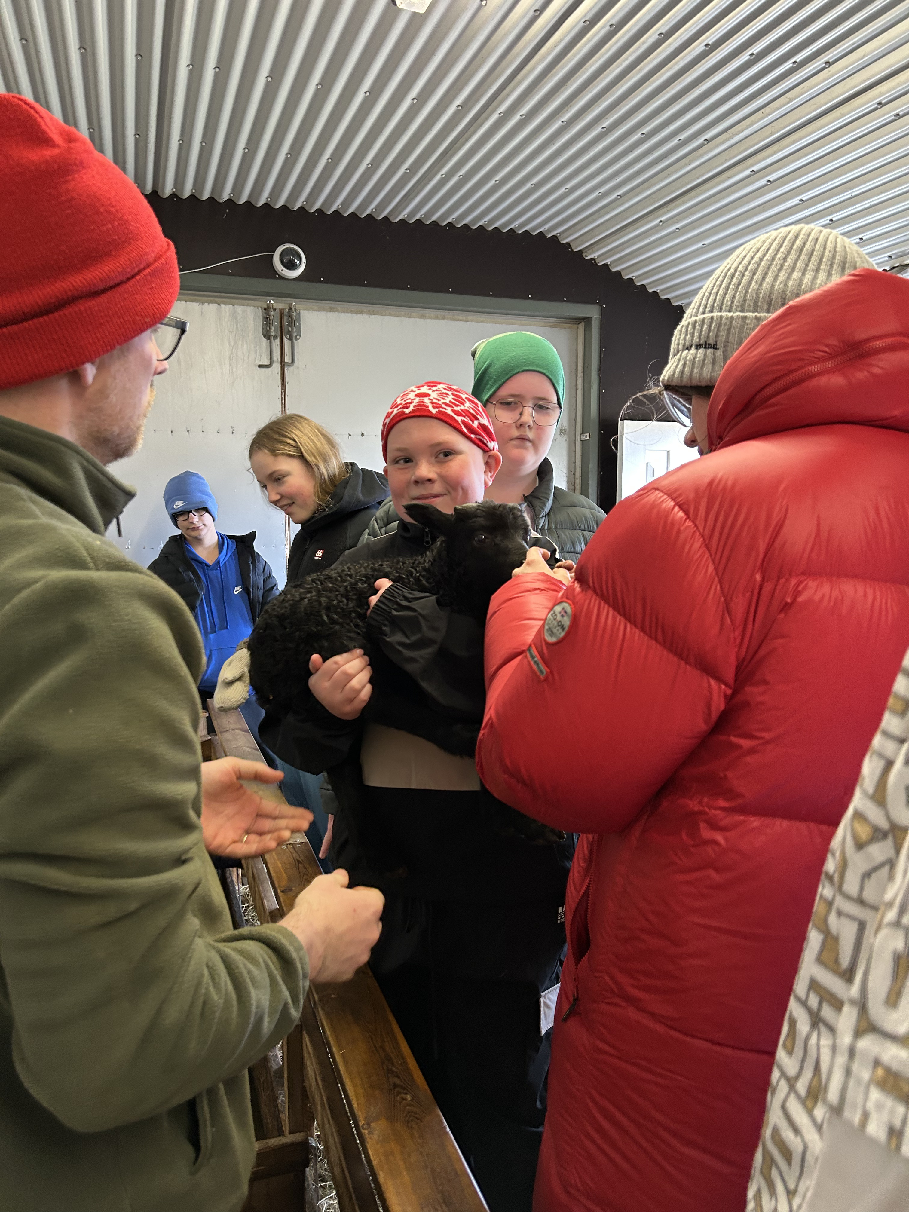 Vettvangsferð í fjárhúsin