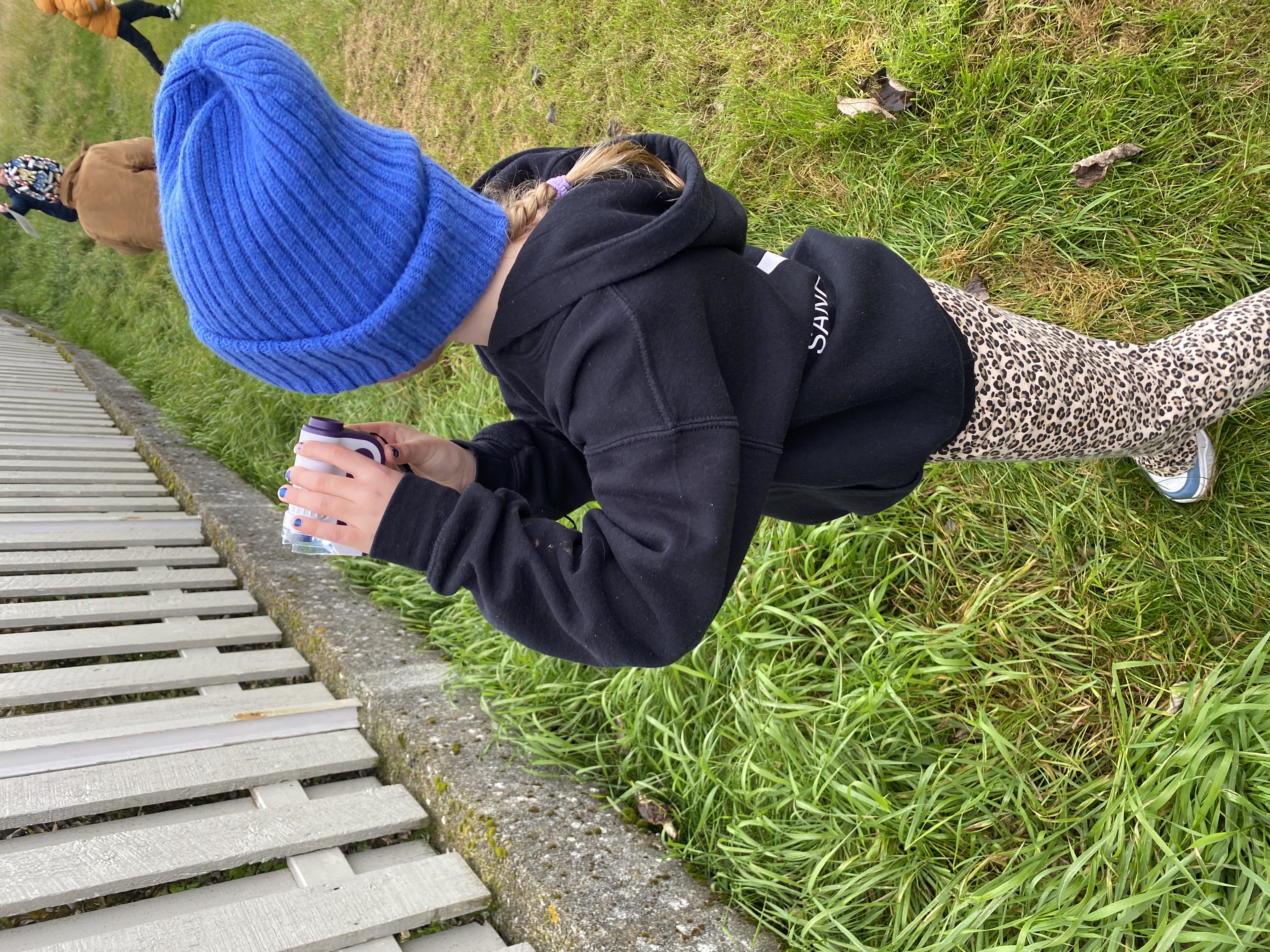 Köngulær
