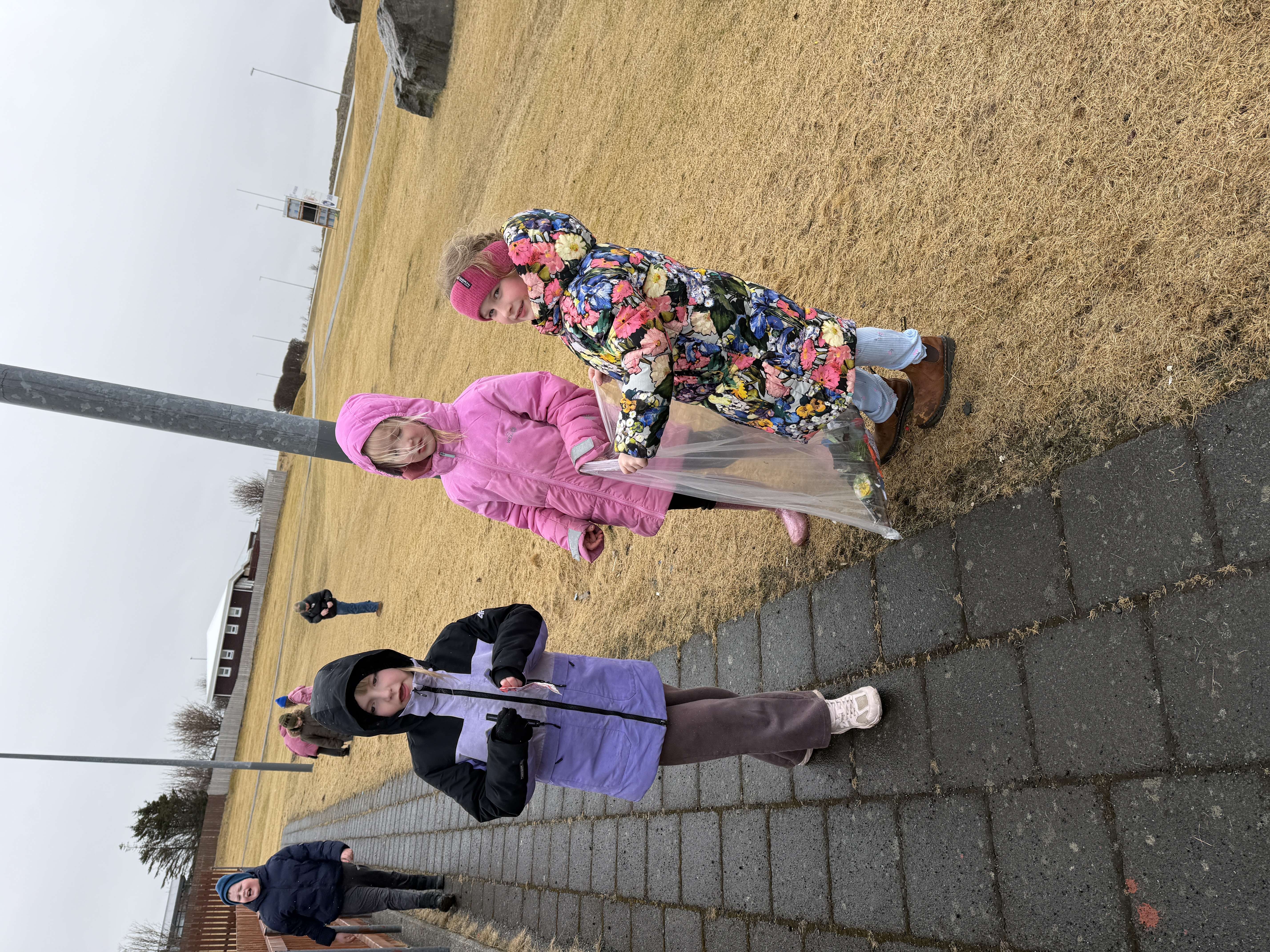 Rikka og töfrahringurinn 