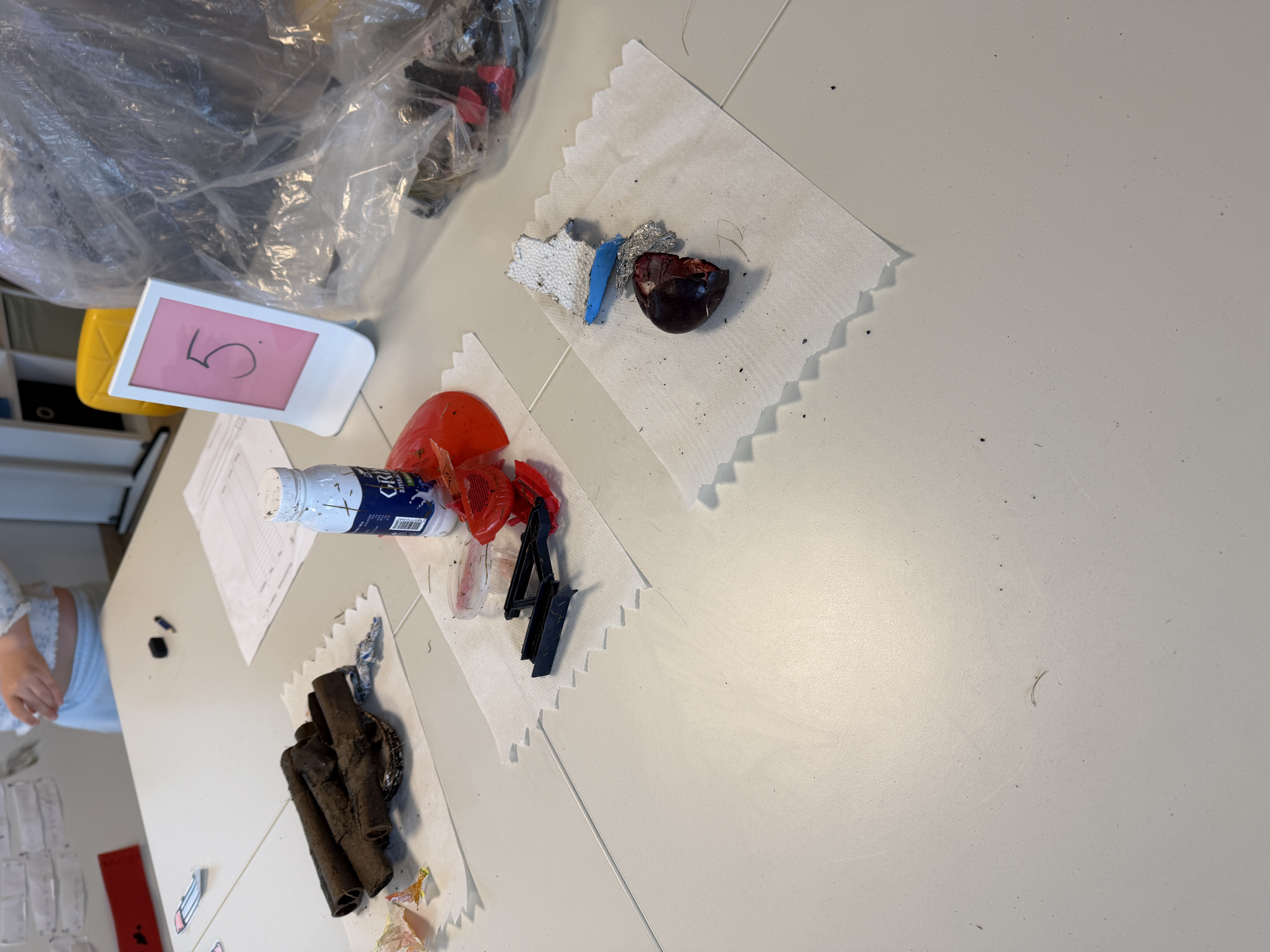 Rikka og töfrahringurinn 