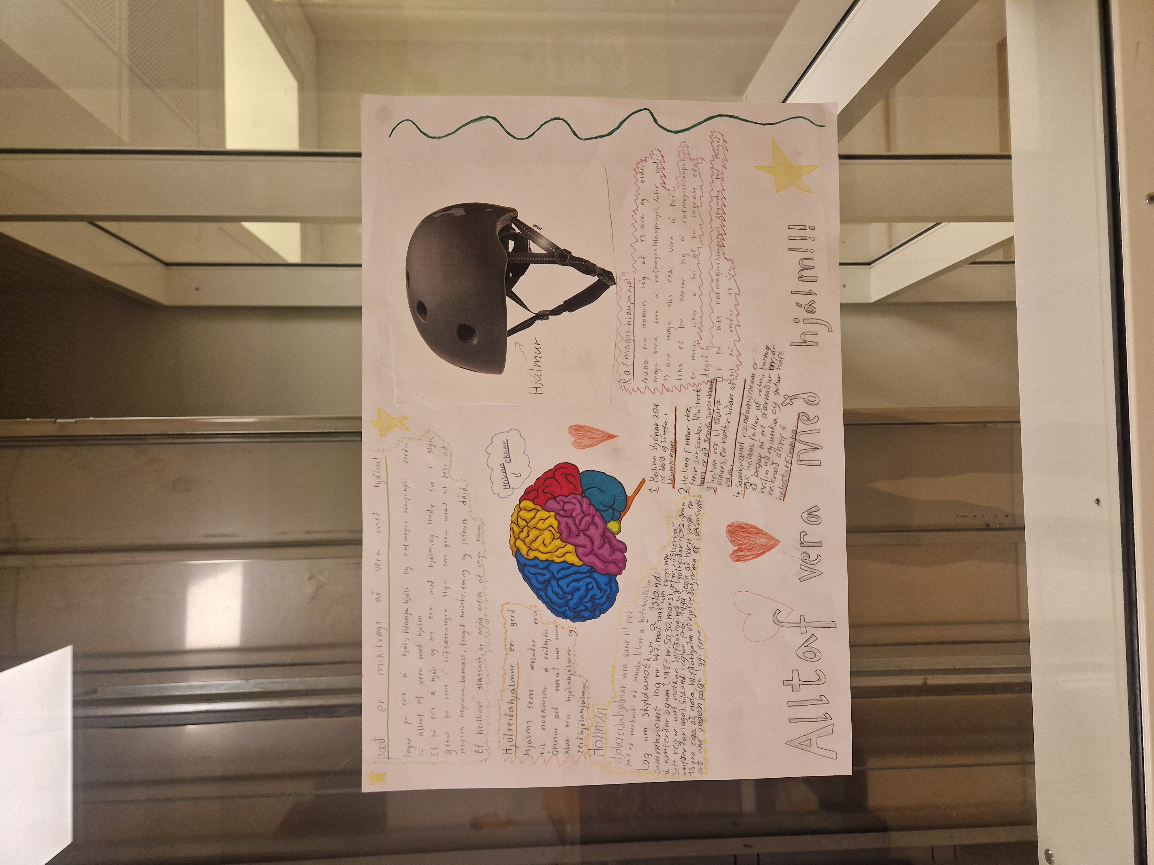 Hjálmanotkun Hjálmanotkun