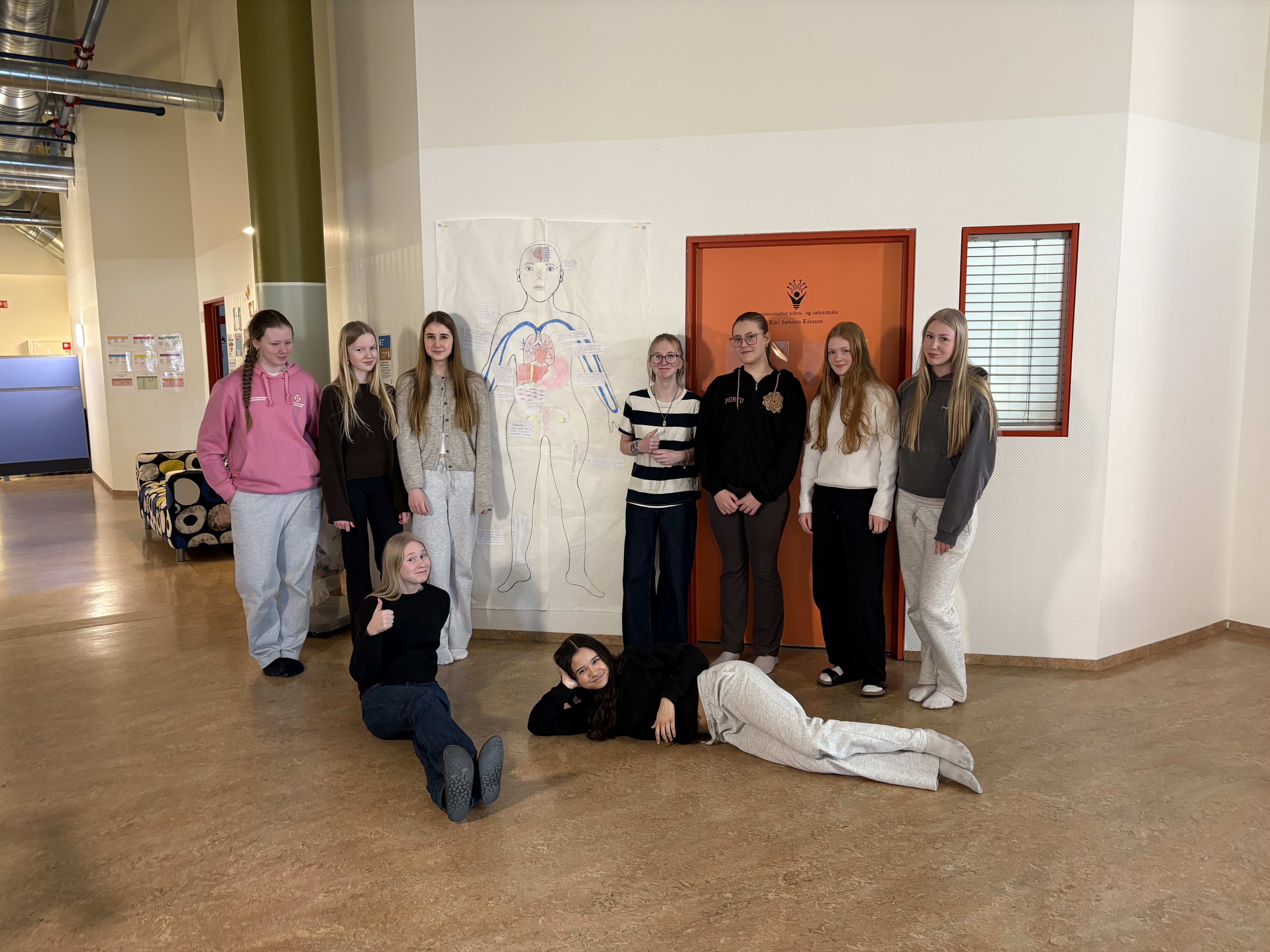 Hönnun mannslíkamans í fullri stærð