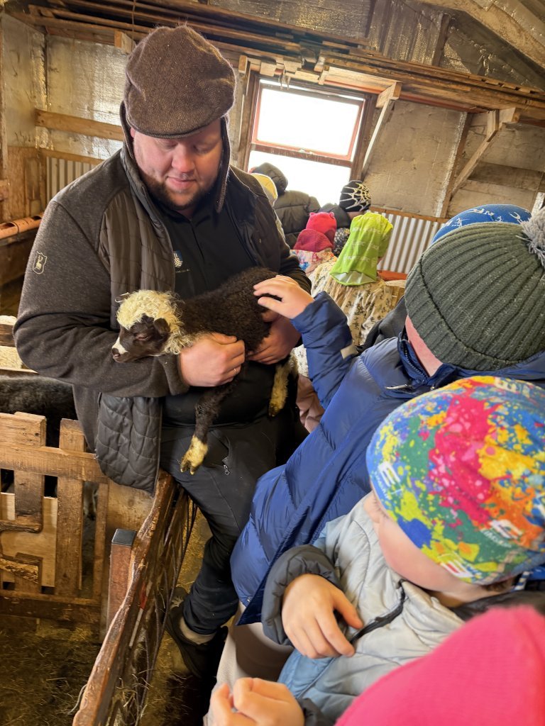 Vettvangsferð í fjárhúsin