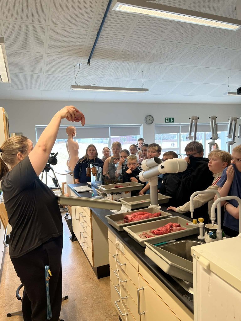 Krufning í náttúrufræði