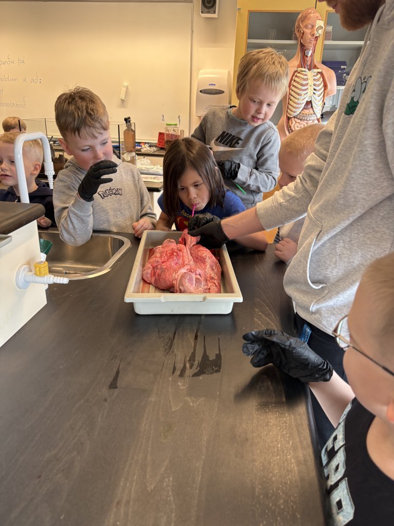 Krufning í náttúrufræði