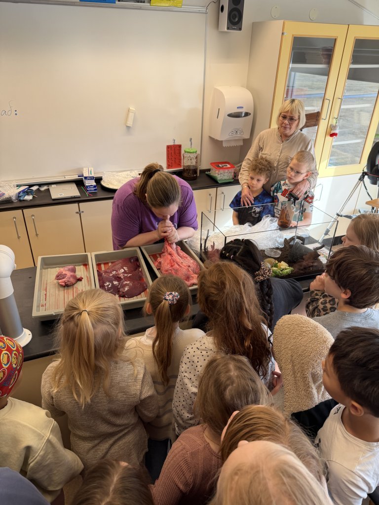 Krufning í náttúrufræði