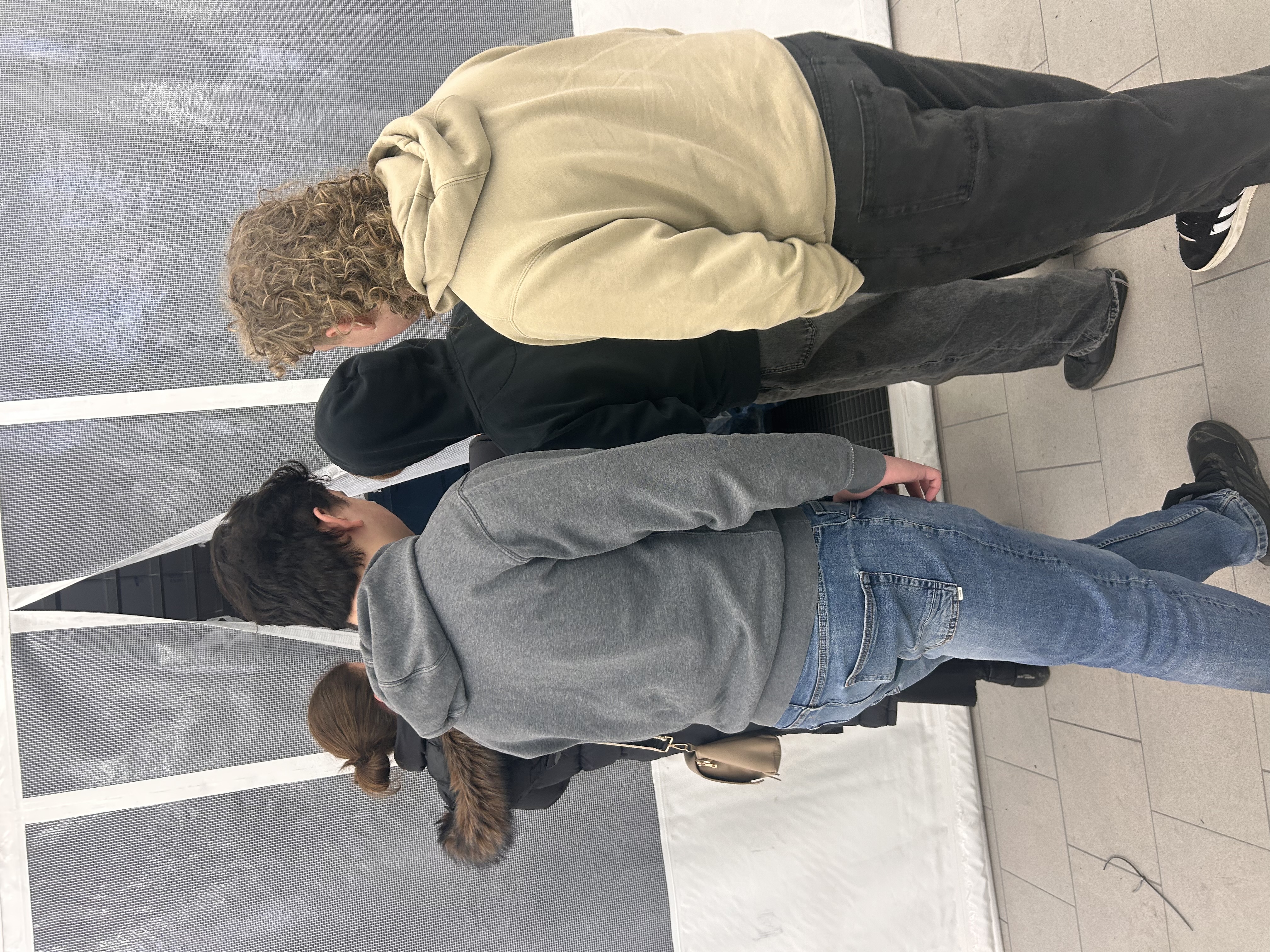 Vettvansferð í BLUE bílaleigu