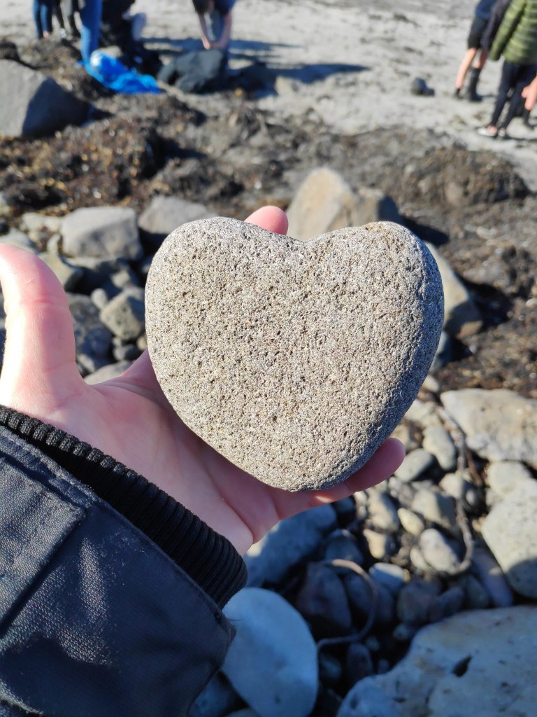 Þjónusta og stoðkerfi