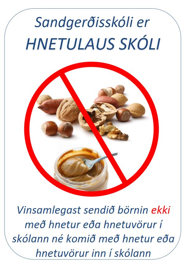 Hnetulaus skóli