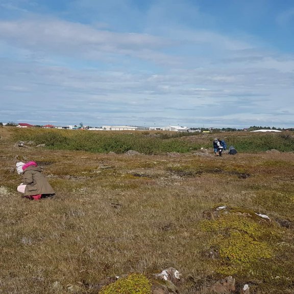 8941ec2dce834137618b56bfde47b27b