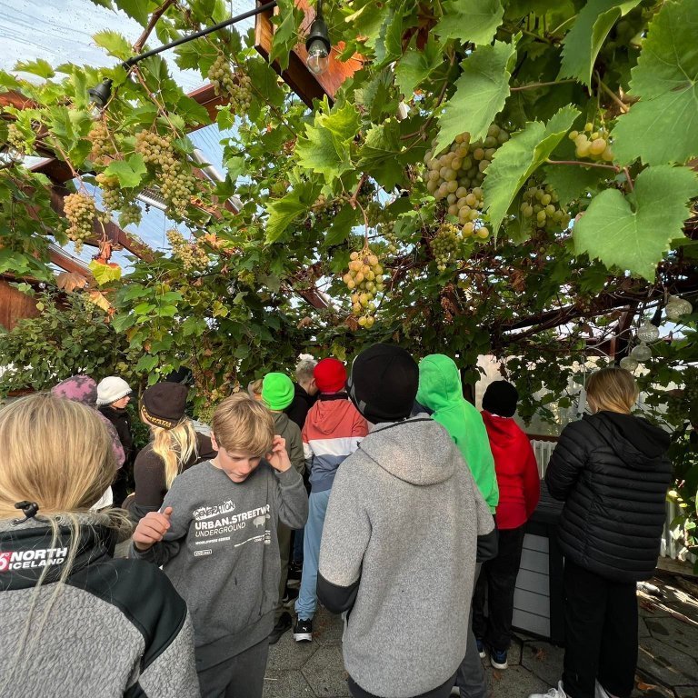 302597258_611339353729468_124824427482671478_n