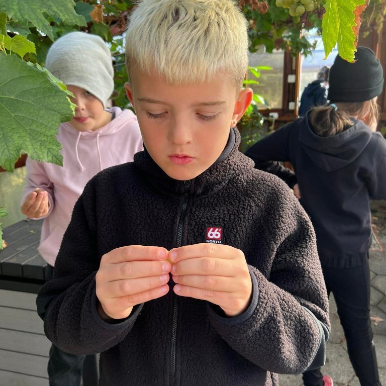 304287080_828942781438462_1867940997581681455_n