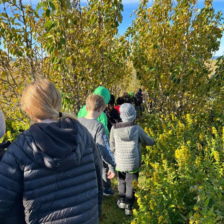 305092840_414135447516908_1542272034406363216_n