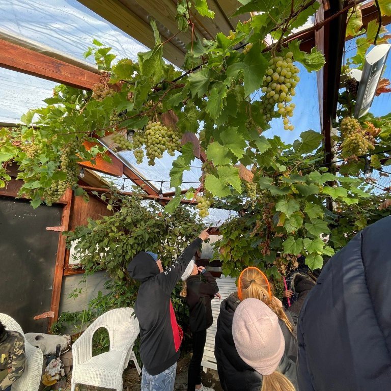 305124818_609263223914182_3707797261869063045_n