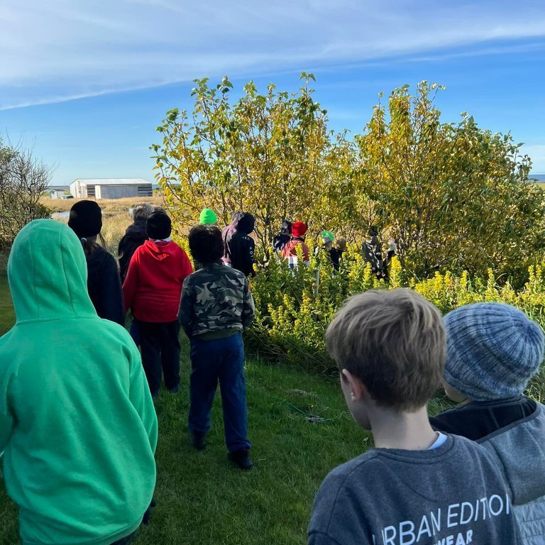 305132966_5442585679159686_2577218816946026290_n