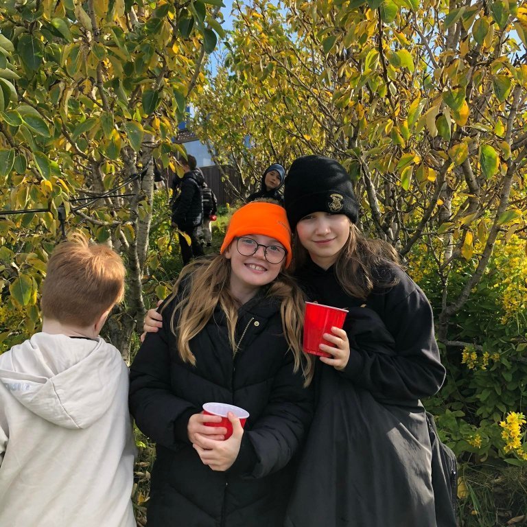 305172166_543229567569522_9151776262555667229_n