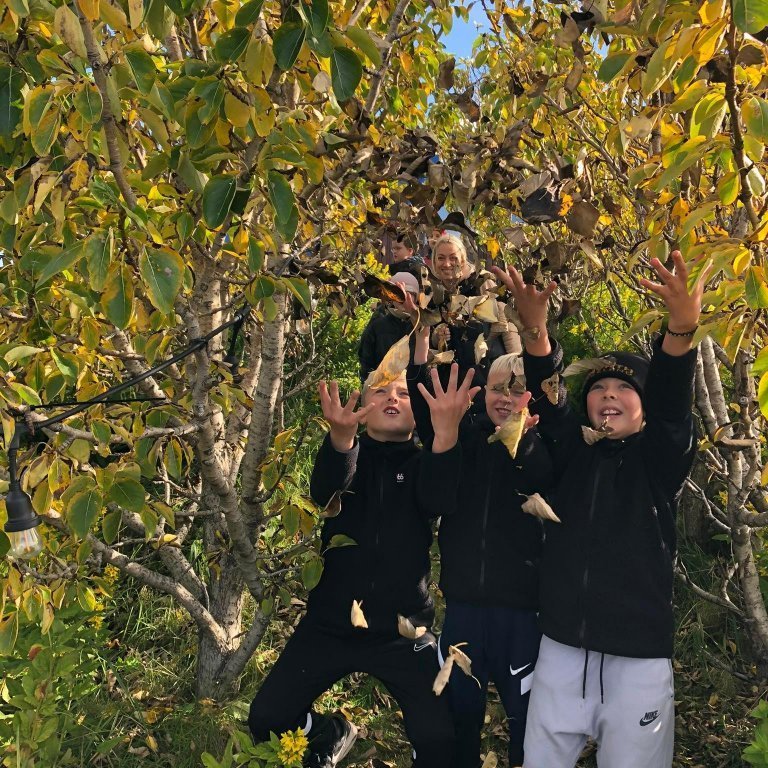 305295949_779193376629964_169173414964425955_n