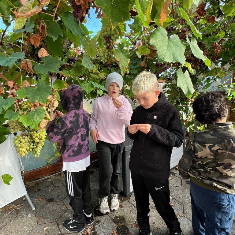 306802672_422084289824325_9186618111438009570_n