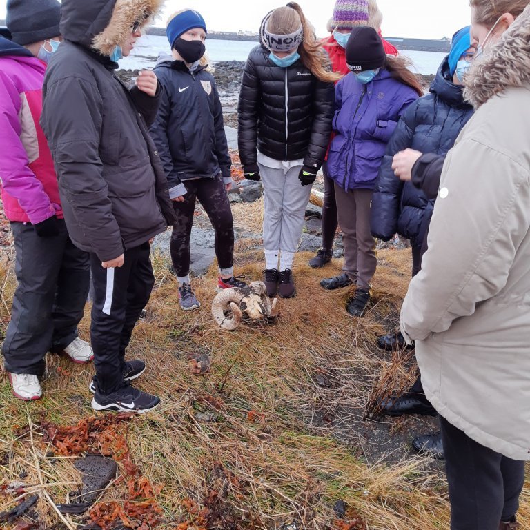 img_20201104_104110675