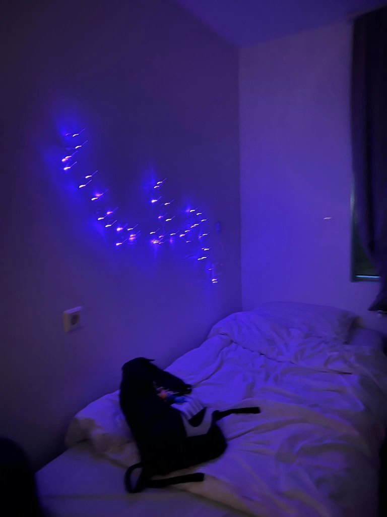 7. bekkur í skólabúðum