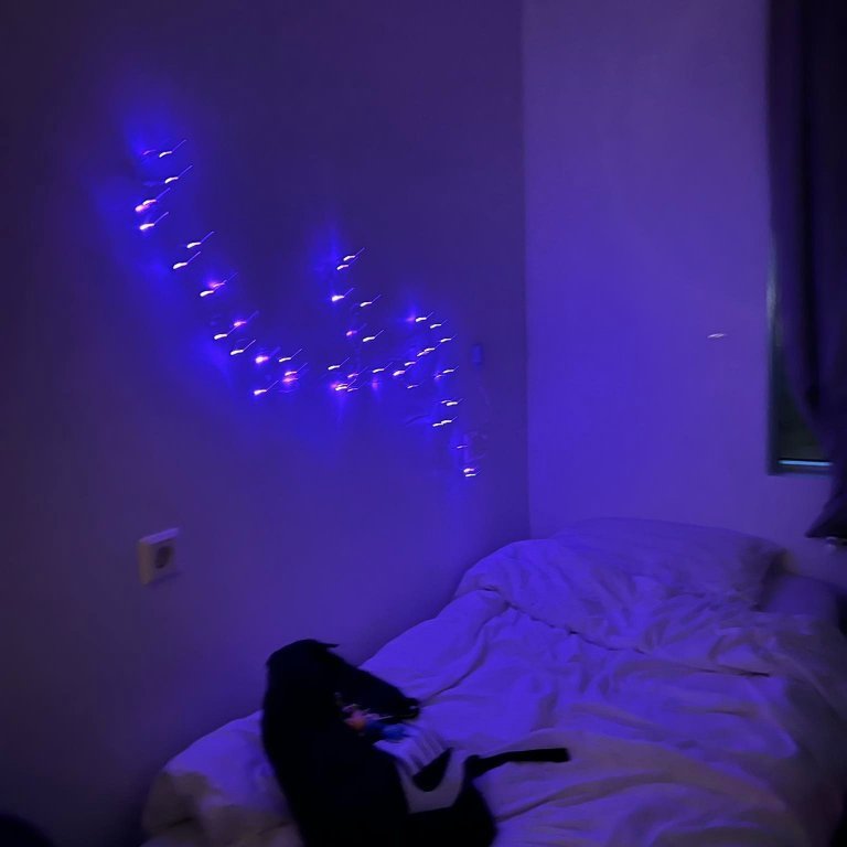 316083497_6275738709122639_1954922835420858534_n