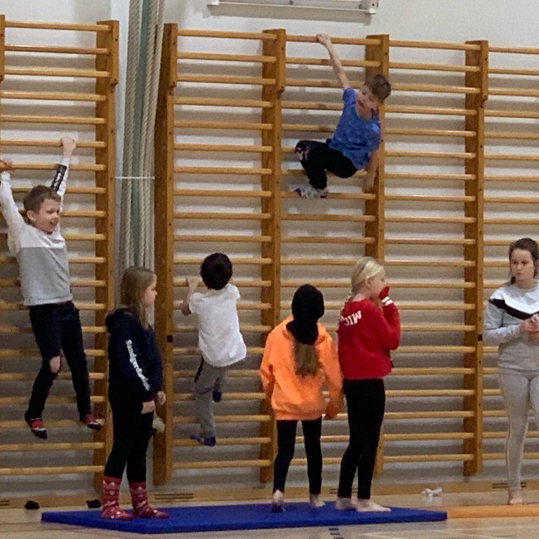 393c000ef9ea76138faac59520fb7825