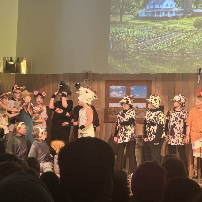 20260303_121349730_ios