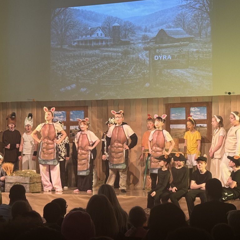 20260303_122953892_ios