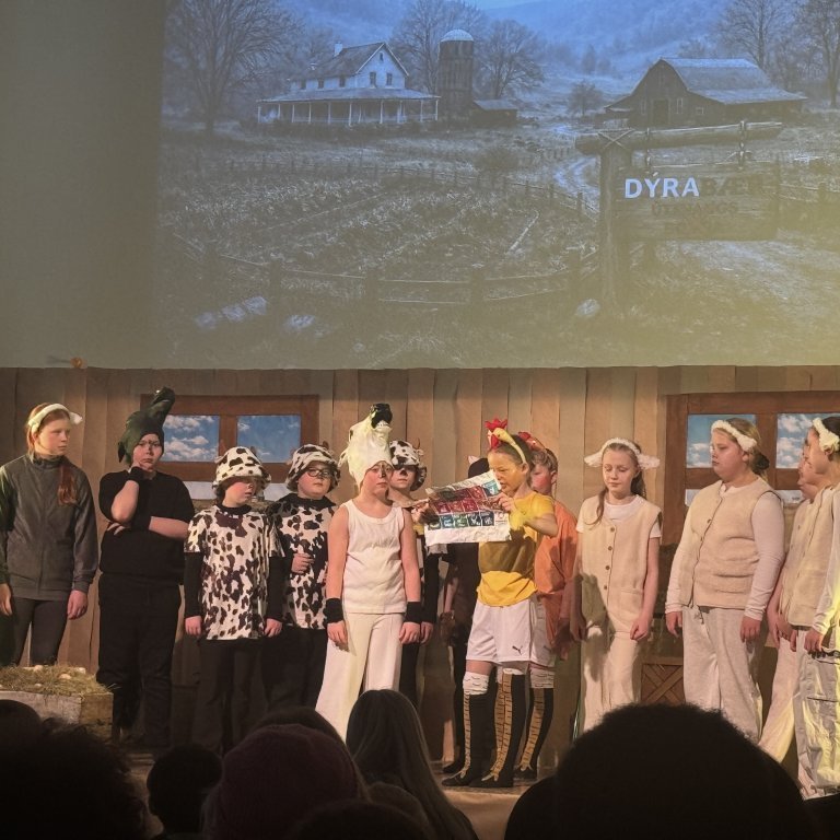 20260303_124943659_ios