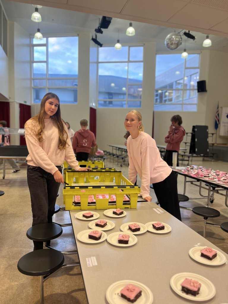 Bleiki dagurinn
