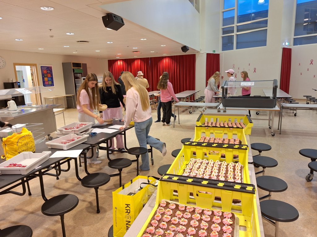 Styrktarsöfnun nemendaráðs