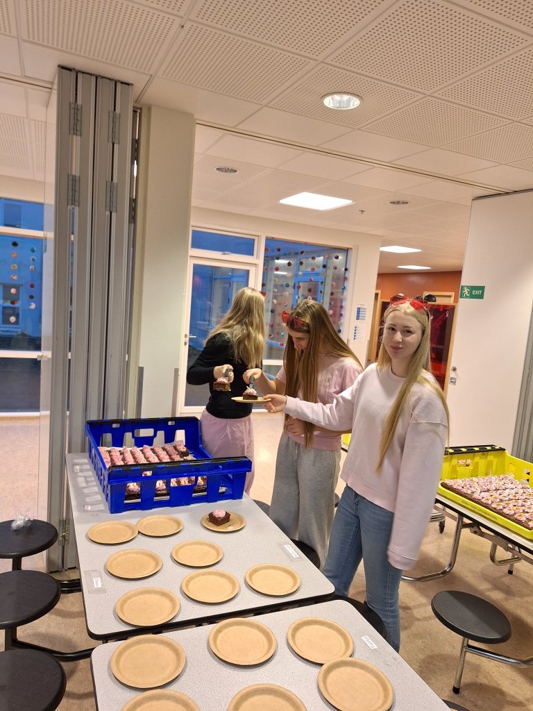 Styrktarsöfnun nemendaráðs