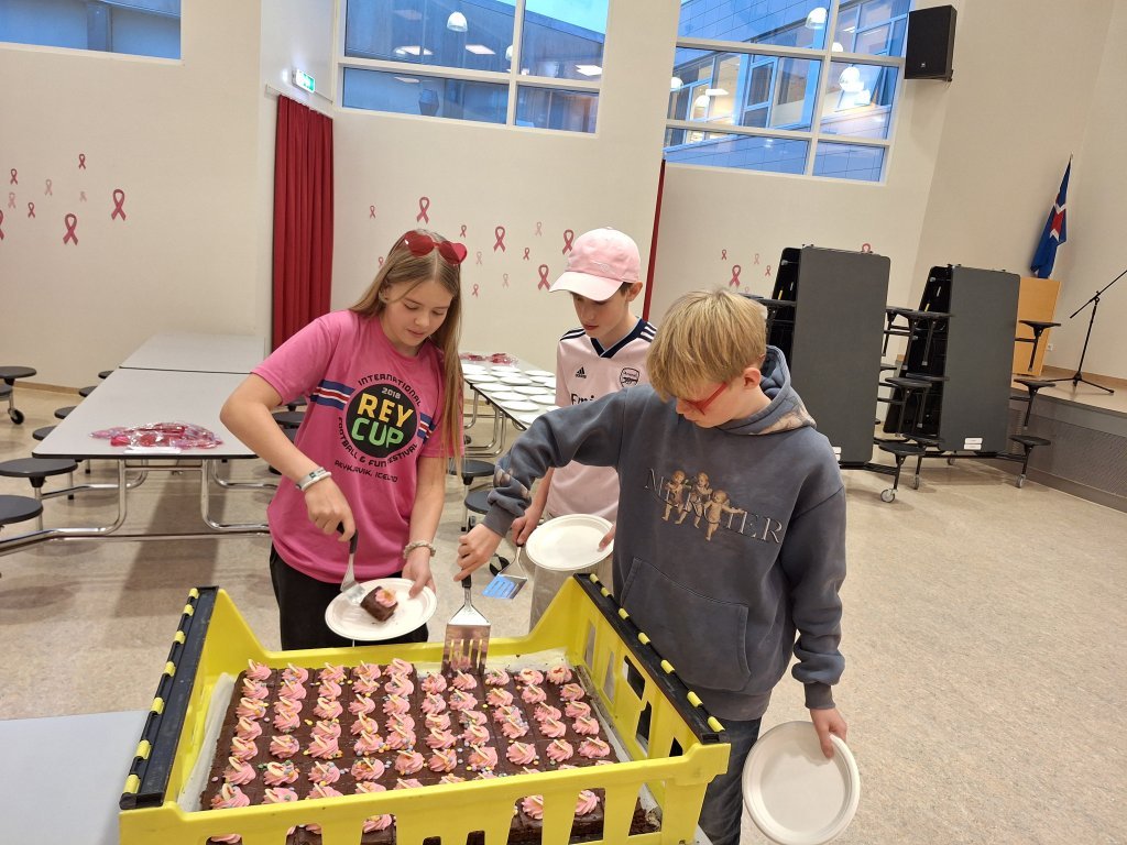 Styrktarsöfnun nemendaráðs