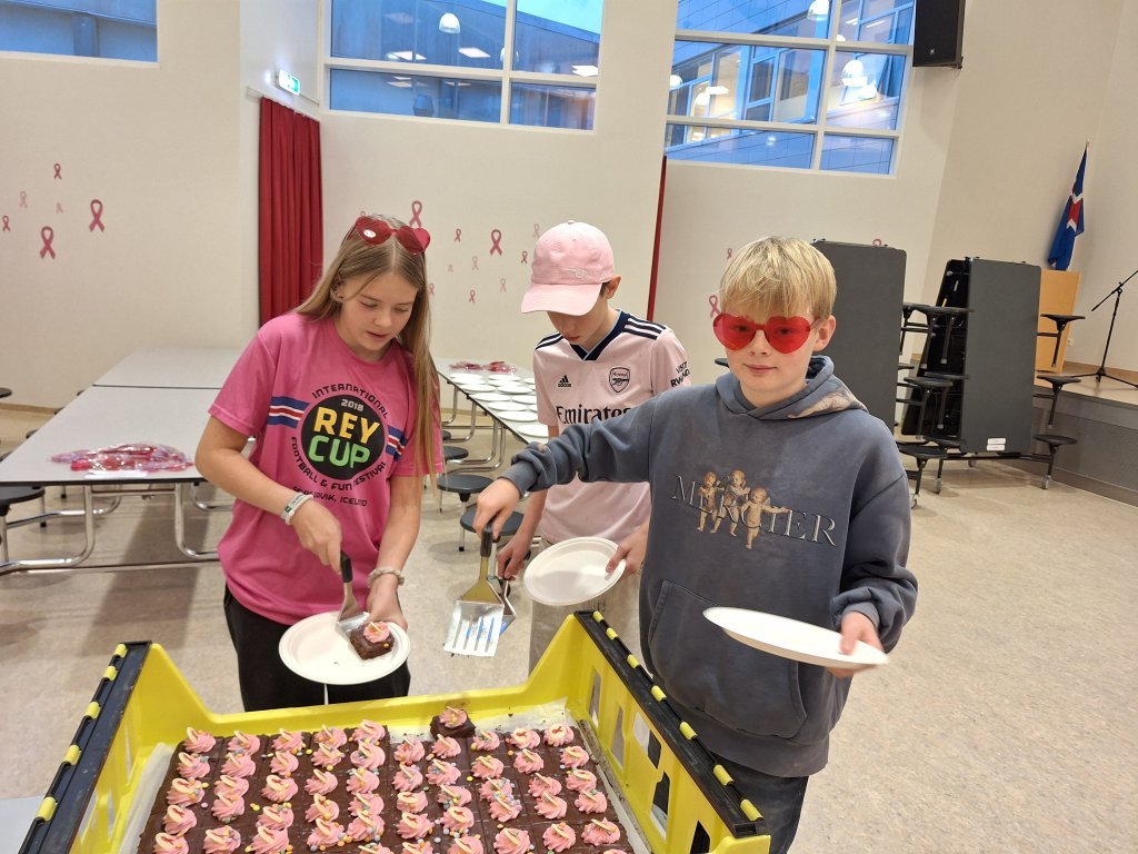 Styrktarsöfnun nemendaráðs