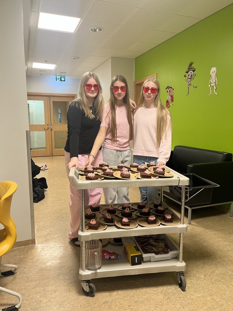 Styrktarsöfnun nemendaráðs