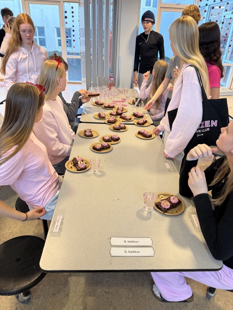 Styrktarsöfnun nemendaráðs