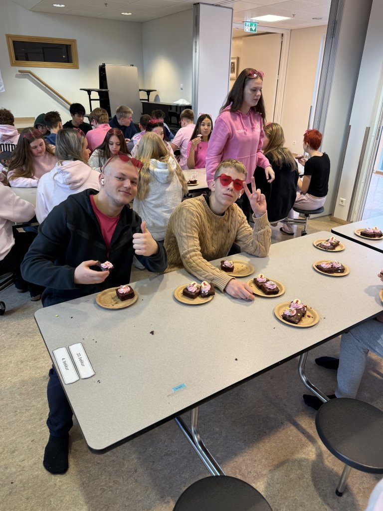 Styrktarsöfnun nemendaráðs