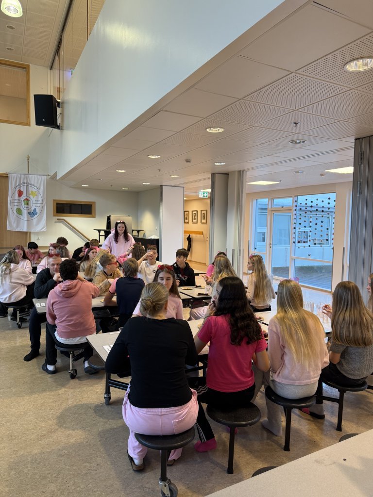 Styrktarsöfnun nemendaráðs