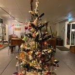 261983899_230804229128572_274086888625505870_n