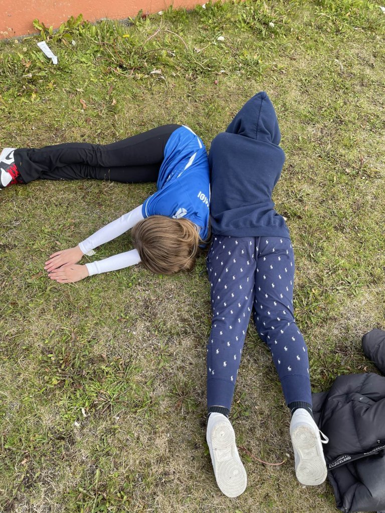 Dagur íslenskrar náttúru 10. bekkur