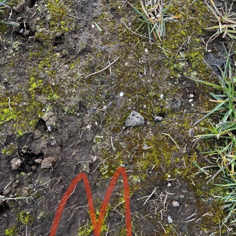 microsoftteams-image-4