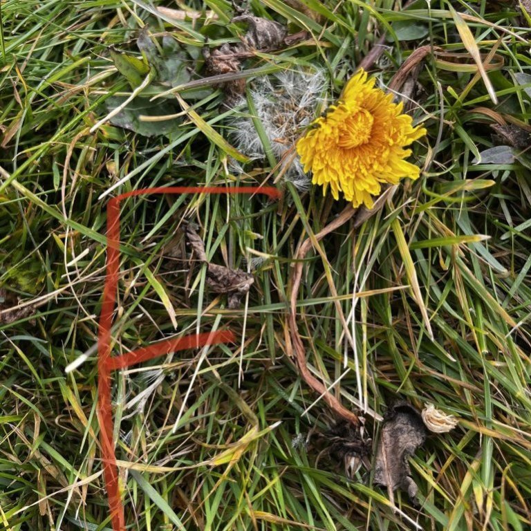 microsoftteams-image-5