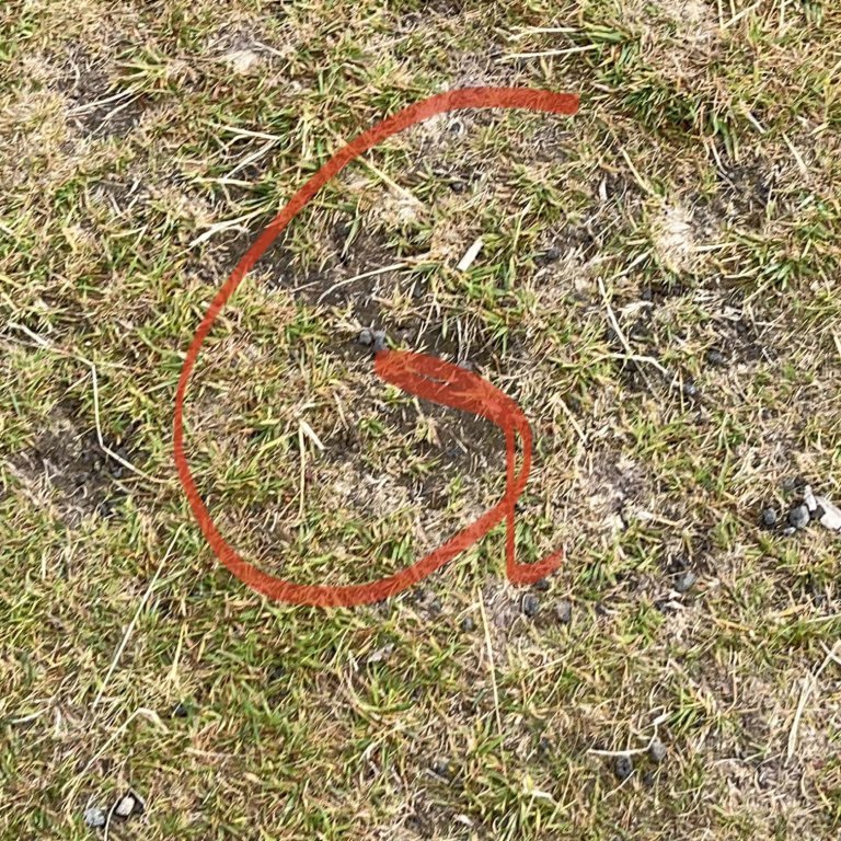 microsoftteams-image-6