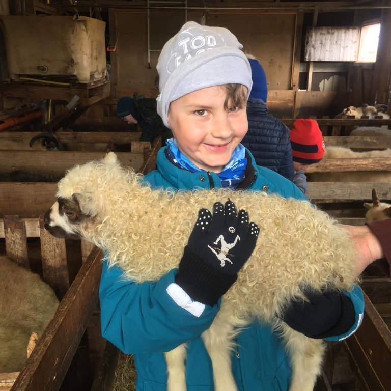 96382431_604746403466619_257951088643145728_n