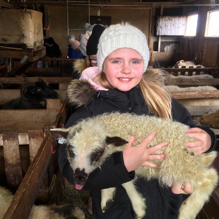 96416930_660901334753050_3144644590204616704_n