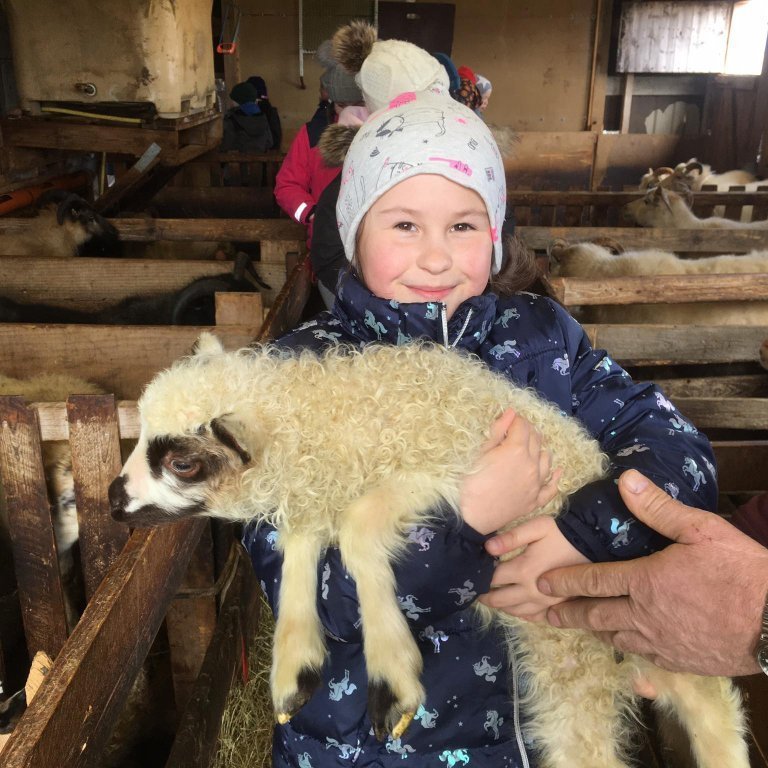 96685592_870585993352787_7408317573369954304_n